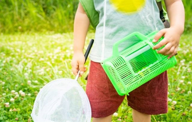 幼稚園児の夏休みは何をする 楽しくて有意義な過ごし方