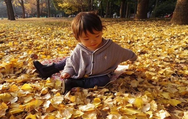 1 歳 秋 人気 服