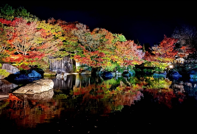 好古園の紅葉ライトアップと姫路セントラルパーク満喫の秋旅